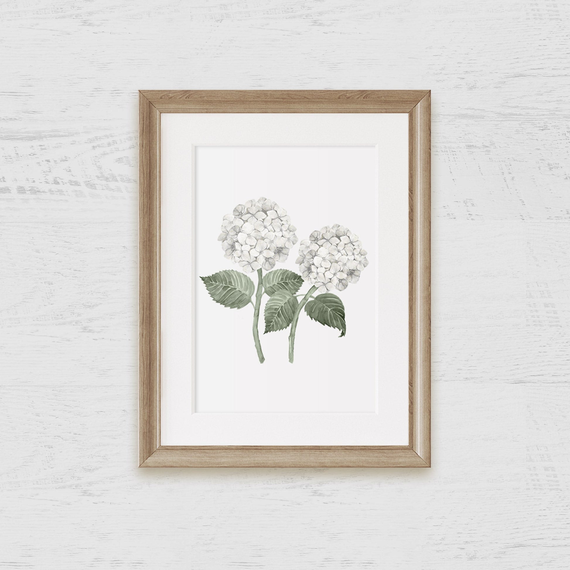 White Double Hydrangea Bloom Art Print - Hydrangea Lane Home