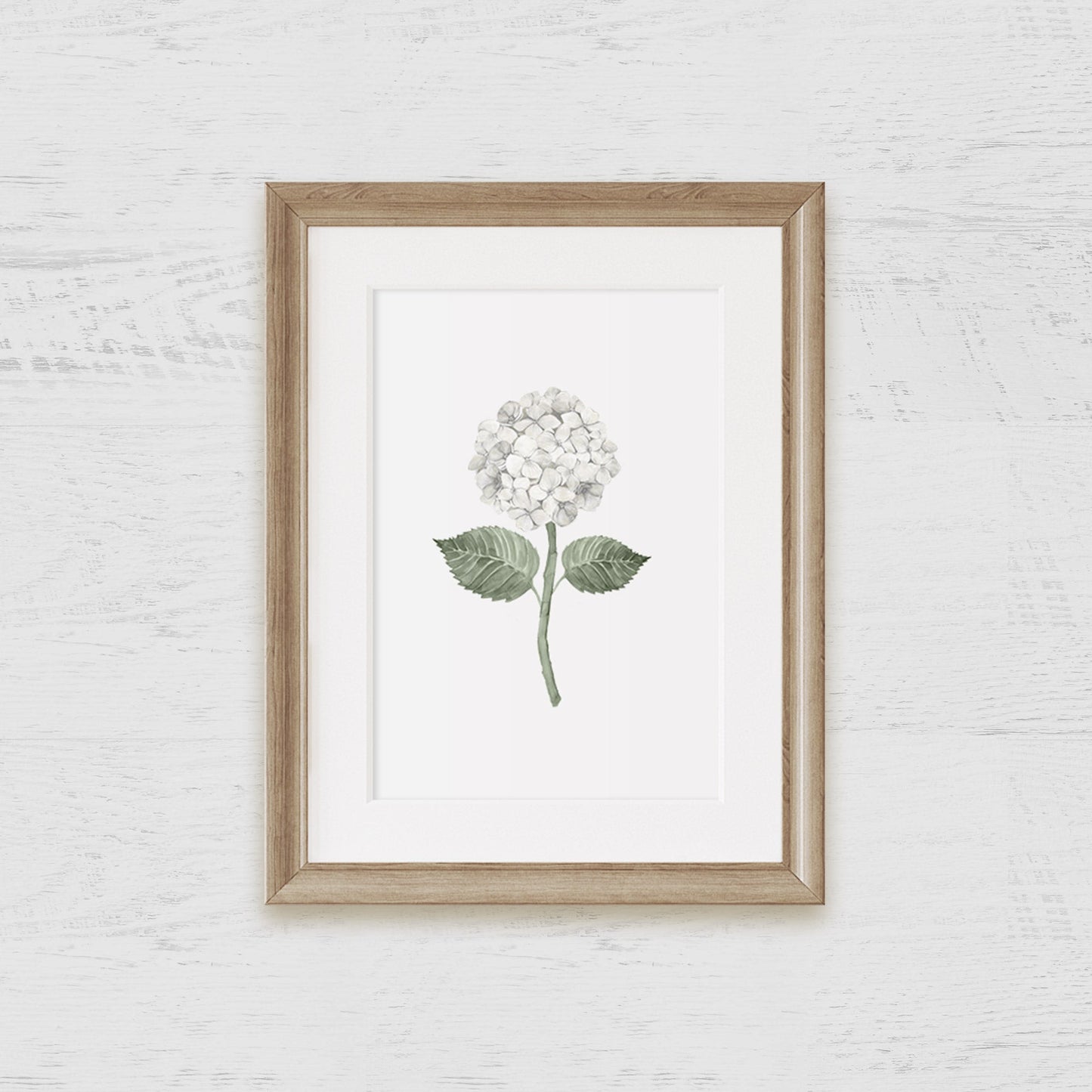 White Hydrangea Bloom Art Print - Hydrangea Lane Home